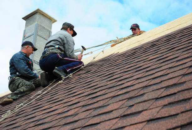 Best Storm Damage Roof Repair  in Harlan, KY
